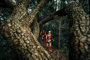 BIB: 
                            <button type="button" onclick="openModal(25393488)" class="btn btn-primary btn-sm float-right btn-popup" data-toggle="modal" data-target=".modal-high-quality">
                        <i class="fas fa-shopping-cart"></i> Add to Cart
                    </button>
                                            <button type="button" onclick="isThisMe(25393488, true)" class="btn btn-success btn-sm float-right btn-popup btn-isme hidden" data-toggle="tooltip" data-placement="bottom" title="นี่คือรูปของคุณใช่ไหม คลิกที่นี่เพื่อเอาเข้าอัลบั้ม">
                        <i class="fas fa-plus"></i> Add to album
                    </button>
                    <button type="button" onclick="isThisMe(25393488, false)" class="btn btn-warning btn-sm float-right btn-popup btn-isnotme hidden">
                        <i class="fas fa-ban"></i> Remove from album
                    </button>